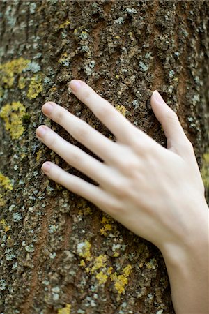 simsearch:633-01572737,k - Woman's hand touching tree bark, cropped Foto de stock - Royalty Free Premium, Número: 633-05402138