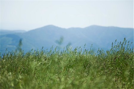 pradera - Mountain range Foto de stock - Sin royalties Premium, Código: 633-05402178