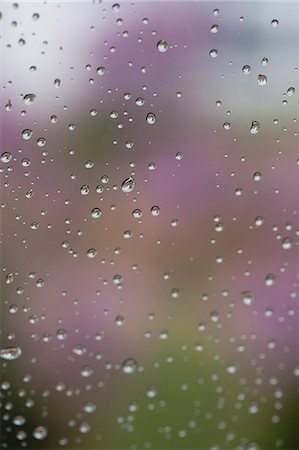 rain drops - Raindrops on window Foto de stock - Sin royalties Premium, Código: 633-06322281