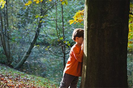 Boy playing hide-and-seek in woods Foto de stock - Sin royalties Premium, Código: 633-06322506