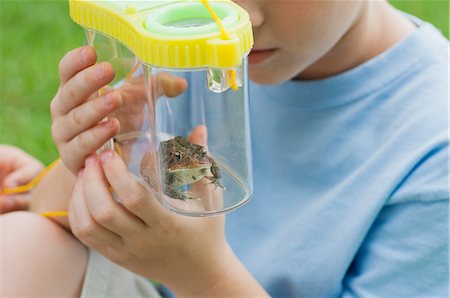 Boy looking at toad in terrarium, cropped Stock Photo - Premium Royalty-Free, Code: 633-06354654