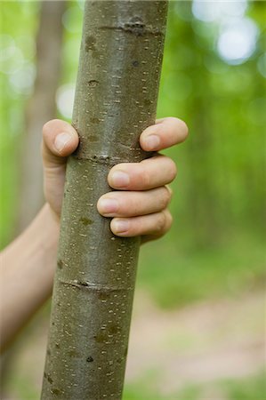 simsearch:633-05402143,k - Main de l'enfant, tronc d'arbre, recadré de préhension Photographie de stock - Premium Libres de Droits, Code: 633-06354775