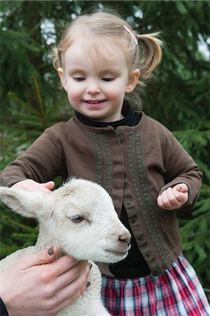 Petit agneau de caresser de fille Photographie de stock - Premium Libres de Droits, Code: 633-06354770