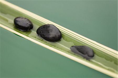 Row of stones on sinking palm leaf Stock Photo - Premium Royalty-Free, Code: 633-06354888