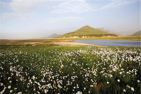 Landmannalaugar, Islande Photographie de stock - Premium Libres de Droits, Code: 633-06354910