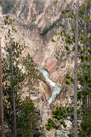 simsearch:633-08639086,k - Grand Canyon of Yellowstone River, Yellowstone National Park, Wyoming, USA Photographie de stock - Premium Libres de Droits, Code: 633-08638991