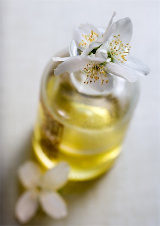 Mock orange flowers and bottle of massage oil Stock Photo - Premium Royalty-Free, Code: 633-01274139