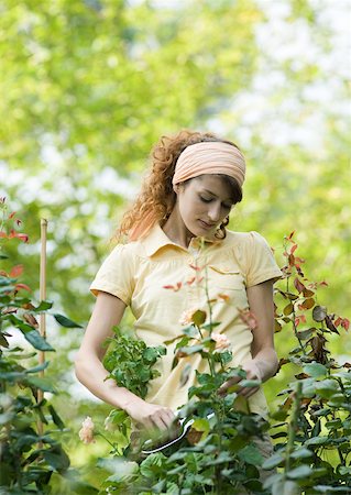 pruning roses - Young woman working in garden Stock Photo - Premium Royalty-Free, Code: 633-01274159