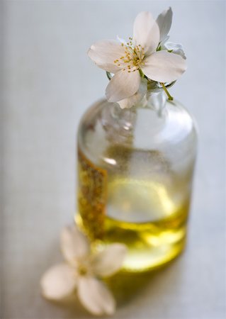 Mock orange flowers and bottle of massage oil Foto de stock - Sin royalties Premium, Código: 633-01274420