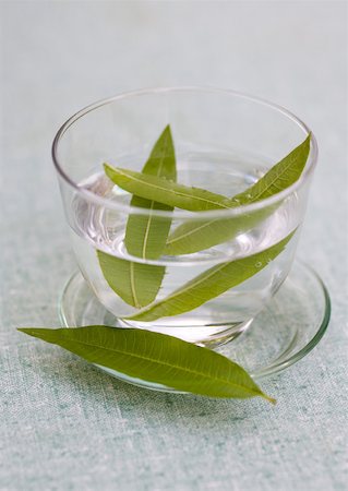 floating leaf - Verbena leaves in cup of water Stock Photo - Premium Royalty-Free, Code: 633-01274451