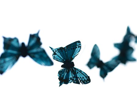 flying insects bugs insects - Fake butterflies Stock Photo - Premium Royalty-Free, Code: 633-01274522