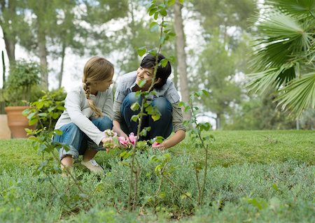 Mère et fille ensemble de jardinage Photographie de stock - Premium Libres de Droits, Code: 633-01274992