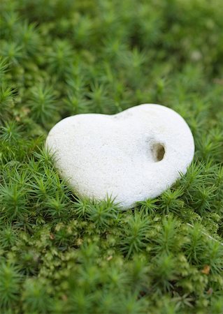 Pebble with hole on moss, extreme close-up Stock Photo - Premium Royalty-Free, Code: 633-01275037