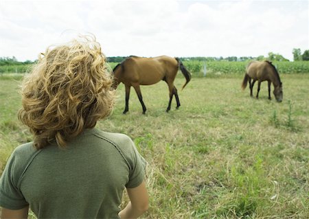 simsearch:632-06029634,k - Garçon regardant les chevaux dans le champ Photographie de stock - Premium Libres de Droits, Code: 633-01275044