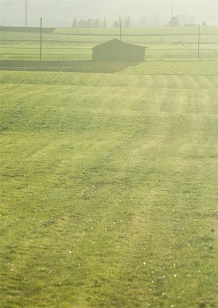 Green field and barn Foto de stock - Sin royalties Premium, Código: 633-01272143