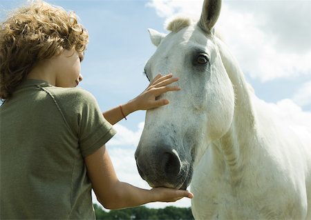 Boy petting horse Foto de stock - Sin royalties Premium, Código: 633-01272335