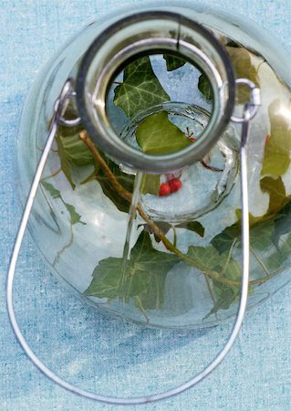 pot-pourri - Ivy leaves and berries in glass lantern Fotografie stock - Premium Royalty-Free, Codice: 633-01272411