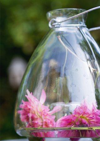 simsearch:633-01274635,k - Two dahlia flowers in glass lantern Foto de stock - Sin royalties Premium, Código: 633-01272613