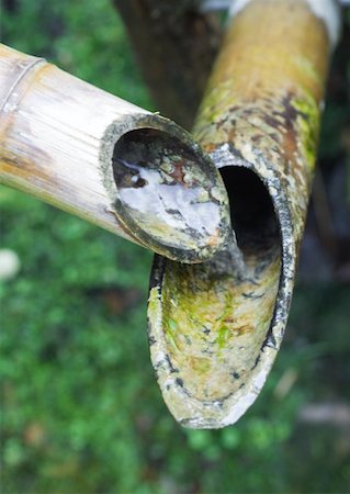 Bamboo water pipes Stock Photo - Premium Royalty-Free, Code: 633-01272648