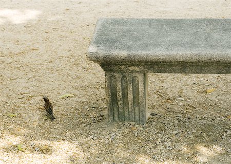 Bird on ground next to park bench Foto de stock - Sin royalties Premium, Código: 633-01272723