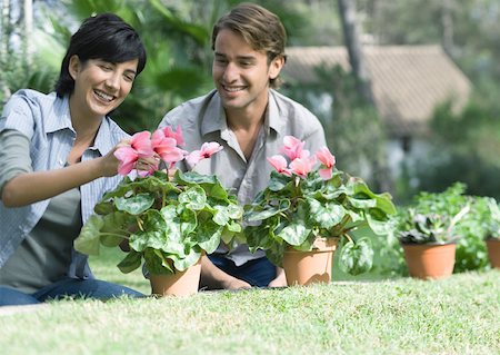 Couple s'occuper des plantes en pot Photographie de stock - Premium Libres de Droits, Code: 633-01272761
