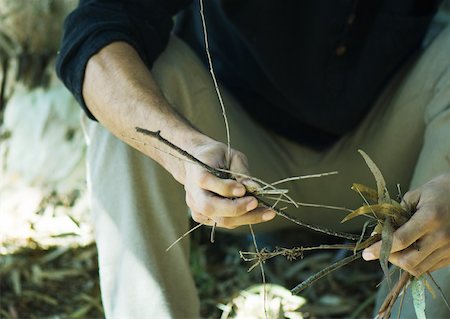 simsearch:633-01572737,k - Man holding handful of twigs and leaves, cropped view Foto de stock - Royalty Free Premium, Número: 633-01272957