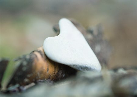 Heart-shaped stone Foto de stock - Sin royalties Premium, Código: 633-01273035