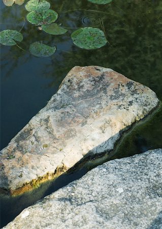 pond top view - Stone and waterlilies in pond Foto de stock - Sin royalties Premium, Código: 633-01273057