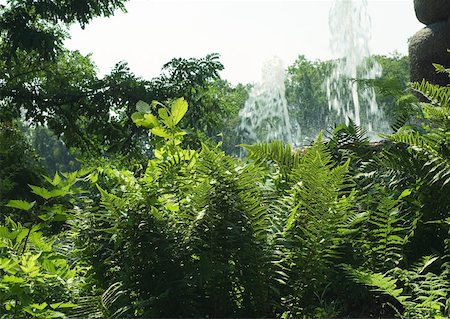 simsearch:633-05401419,k - Vegetation, water fountains in background Foto de stock - Sin royalties Premium, Código: 633-01273148