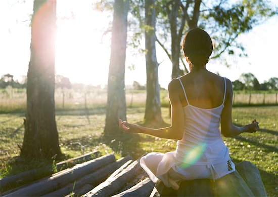 Woman sitting on top of logpile, in lotus position, rear view Stock Photo - Premium Royalty-Free, Image code: 633-01273375