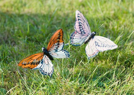 Fake butterflies in grass Foto de stock - Sin royalties Premium, Código: 633-01273409