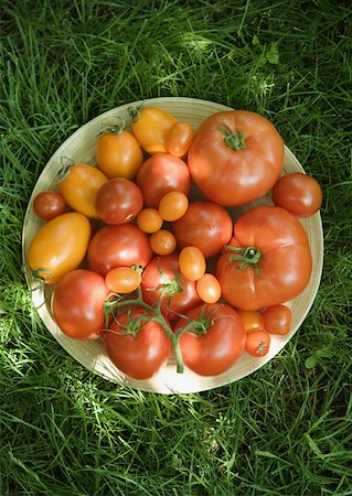 simsearch:633-01272776,k - Assortment of tomatoes in bowl, on grass, high angle view Foto de stock - Royalty Free Premium, Número: 633-01273460