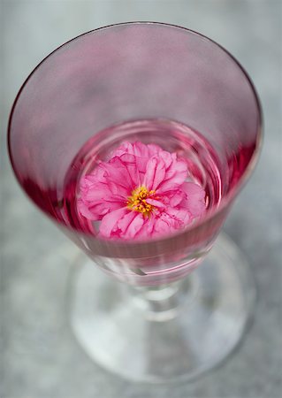 simsearch:633-01274235,k - Peony in glass of water Stock Photo - Premium Royalty-Free, Code: 633-01273833