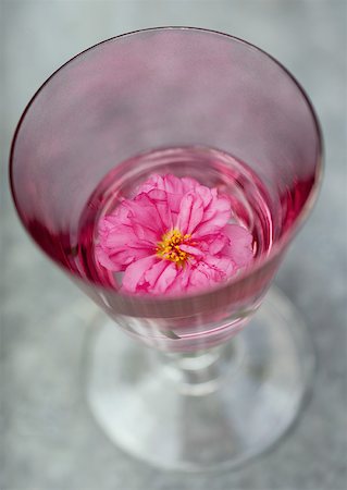 simsearch:633-01274635,k - Peony in glass of water Foto de stock - Sin royalties Premium, Código: 633-01273833