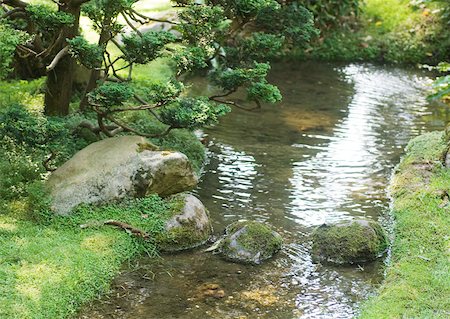 stepping stone stream crossing - Stepping stones across stream Stock Photo - Premium Royalty-Free, Code: 633-01273856