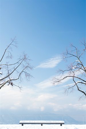 panoramic winter tree landscape - Snow-covered bench overlooking lake and mountains Stock Photo - Premium Royalty-Free, Code: 633-01574006