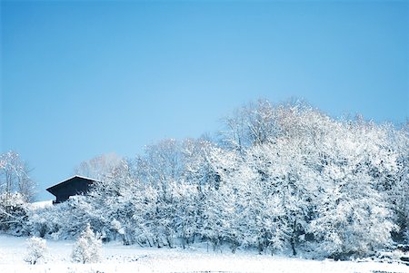 simsearch:633-01574004,k - Paysage d'hiver avec chalet Photographie de stock - Premium Libres de Droits, Code: 633-01574013