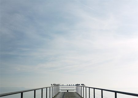 swiss panorama - Birds perched on end of pier, personal perspective Stock Photo - Premium Royalty-Free, Code: 633-01574093
