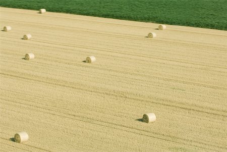 farm stacks hay nobody - Bales of hay in field Stock Photo - Premium Royalty-Free, Code: 633-01574205