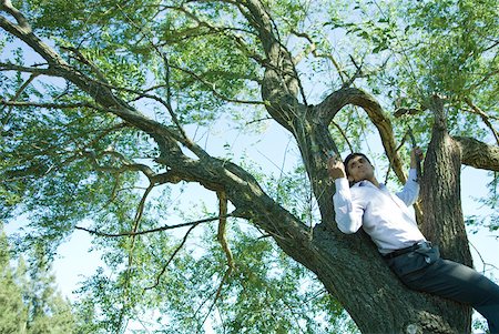 simsearch:633-01574322,k - Businessman using cell phone in tree Stock Photo - Premium Royalty-Free, Code: 633-01574284