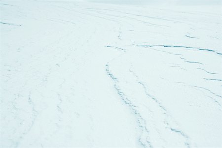 Couverte de neige terre, full frame Photographie de stock - Premium Libres de Droits, Code: 633-01574395