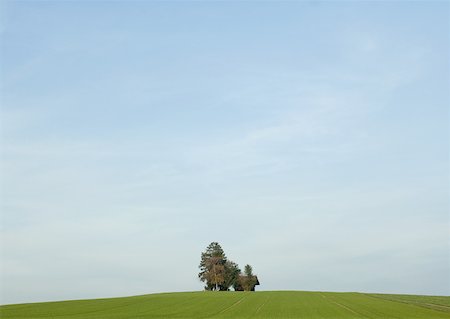 Green field and sky Foto de stock - Sin royalties Premium, Código: 633-01572468