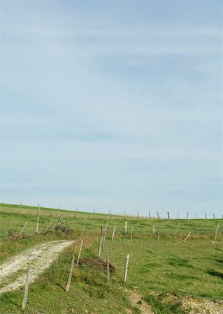 simsearch:633-01573326,k - Dirt road through rural landscape Fotografie stock - Premium Royalty-Free, Codice: 633-01572526