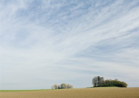 Bare fields and groves of trees Stock Photo - Premium Royalty-Free, Code: 633-01572523