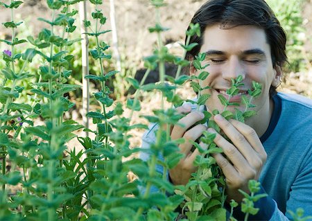 simsearch:633-01572737,k - Man smelling herbs Foto de stock - Royalty Free Premium, Número: 633-01572720