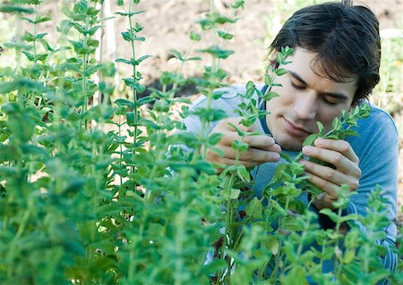 simsearch:633-01572737,k - Man smelling herbs Foto de stock - Royalty Free Premium, Número: 633-01572721