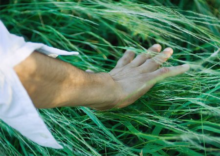 single man in arm of nature - Man touching grass, cropped view of arm Stock Photo - Premium Royalty-Free, Code: 633-01572767