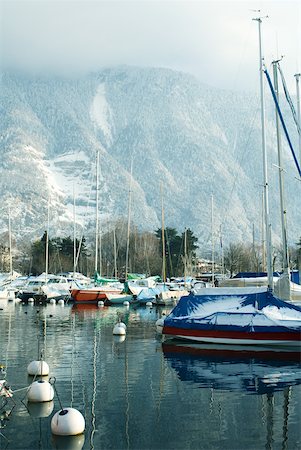 panoramic winter tree landscape - Switzerland, Vaud canton, town of Villeneuve, harbor on Lake Geneva Stock Photo - Premium Royalty-Free, Code: 633-01572958