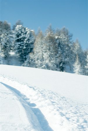 simsearch:633-01572983,k - Snow-covered mountainside, focus on tracks in snow Stock Photo - Premium Royalty-Free, Code: 633-01572979