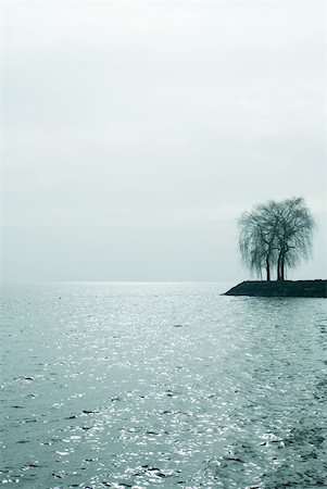 simsearch:633-01573071,k - Embankment with tree on edge of lake Stock Photo - Premium Royalty-Free, Code: 633-01573026